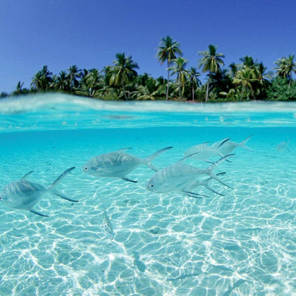 Punta Cana Sol Caribe Beach Pool Εξωτερικό φωτογραφία